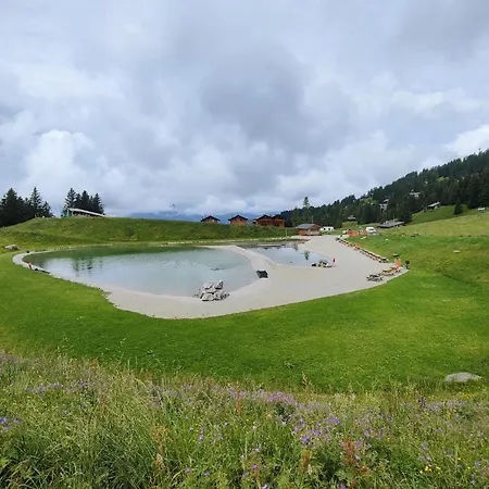 Le Ruissel - 6 Personnes - Confortable Et Bien Situe * Gryon