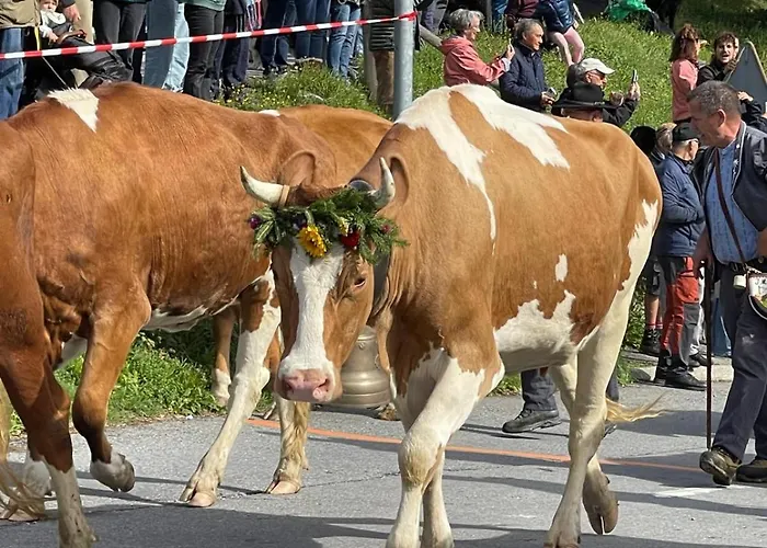 Le Ruissel - 6 Personnes - Confortable Et Bien Situe Alpesi faház Gryon
